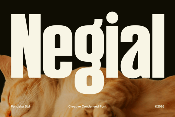 Negial: A Bold Sans Serif Display Font for Impactful Web Headlines